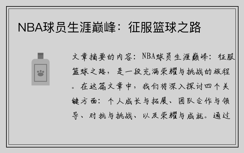 NBA球员生涯巅峰：征服篮球之路